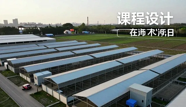课程研发中如何平衡实用性与创新性